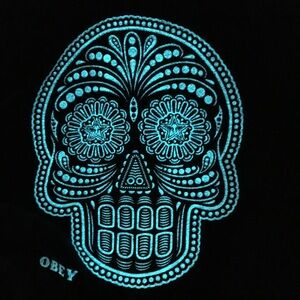 Obey hoodie
